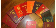 韩辉所获部分荣誉 韩辉所获部分荣誉